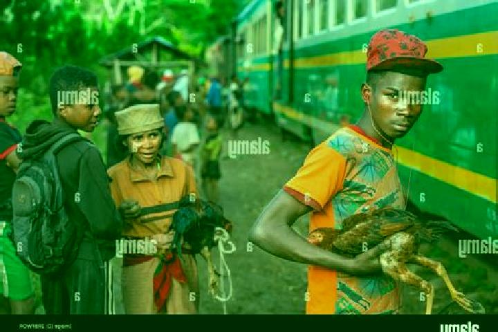 Escorts Manakara, Madagascar — Local Companions