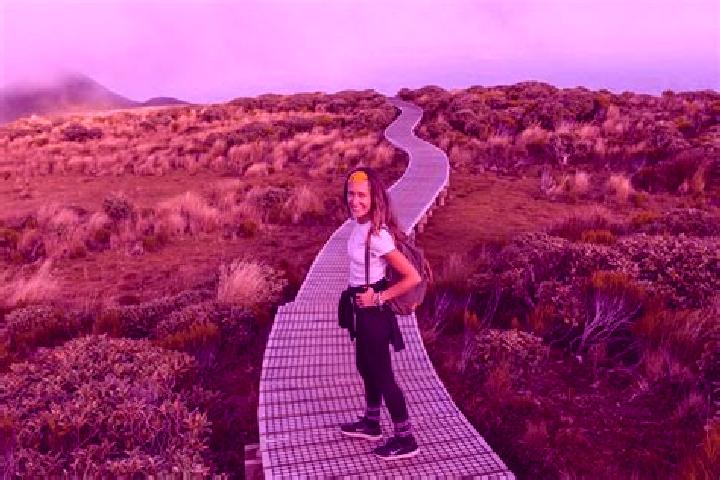 Escorts Mangorei, New Zealand — Local Companions