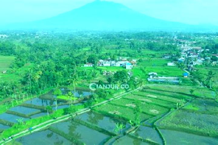 Escorts Manis Karangtengah, Indonesia — Local Companions