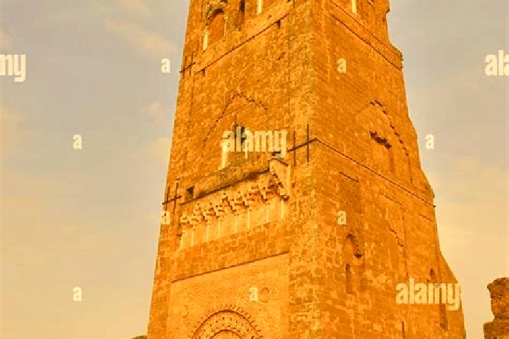 Escorts Mansourah, Algeria — Local Companions