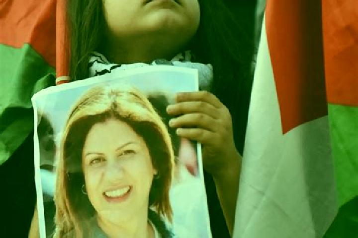 Escorts Marda, Palestine — Local Companions