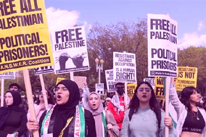 Escorts Marj Na jah, Palestine — Local Companions