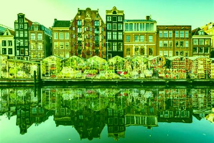 Escorts Marknesse, Netherlands — Local Companions