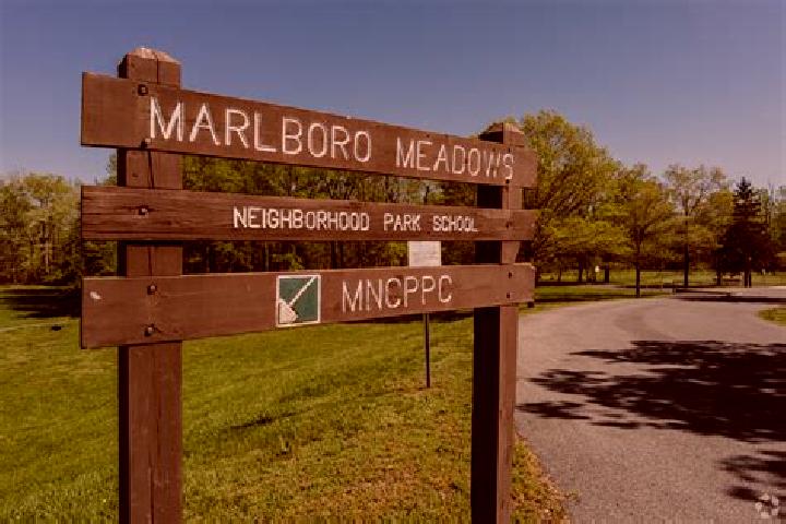 Escorts Marlboro Meadows, United States — Local Companions