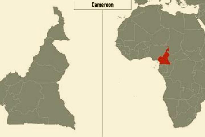 Escorts Maroua, Cameroon — Local Companions