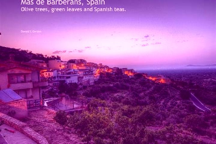 Escorts Mas de Barberans, Spain — Local Companions