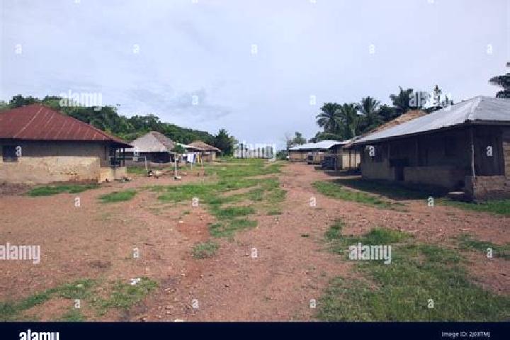 Escorts Masaka, Sierra Leone — Local Companions