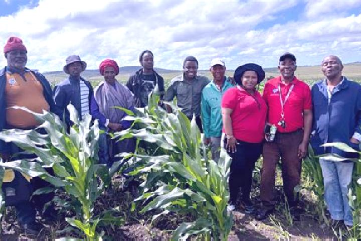 Escorts Matatiele, South Africa — Local Companions
