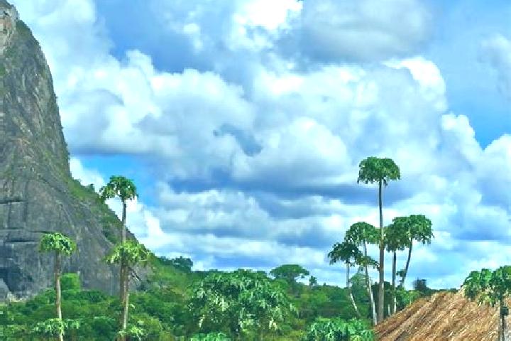 Escorts Matola, Mozambique — Local Companions