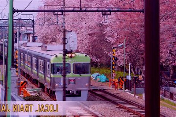 Escorts Matsudo, Japan — Local Companions