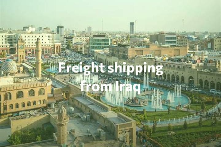 Escorts Mawet, Iraq — Local Companions