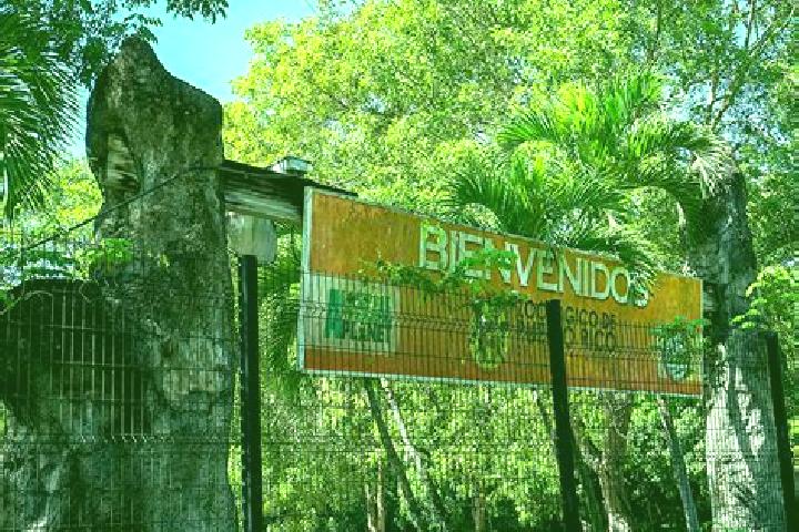 Escorts Mayagueez, Puerto Rico — Local Companions