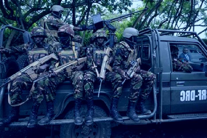 Escorts Mbandaka, DR Congo — Local Companions