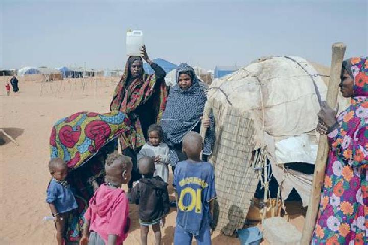 Escorts Mbera, Mauritania — Local Companions