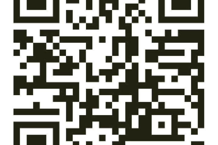 Escorts McCurtain, United States — Local Companions