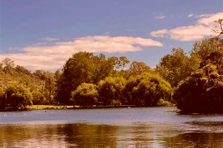 Escorts Meadow Springs, Australia — Local Companions