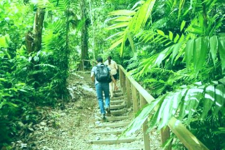Escorts Meambar, Honduras — Local Companions