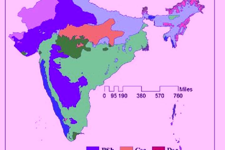 Escorts Medak, India — Local Companions