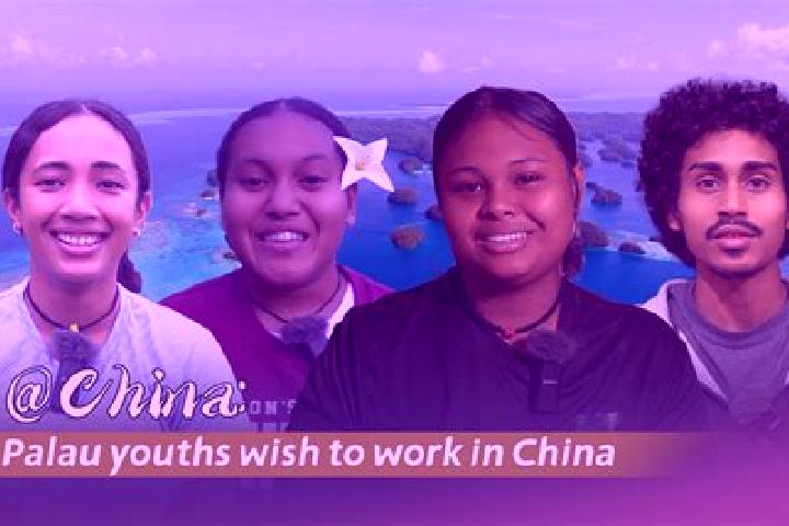 Escorts Medalaii Hamlet, Palau — Local Companions