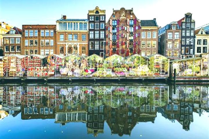Escorts Meeden, Netherlands — Local Companions
