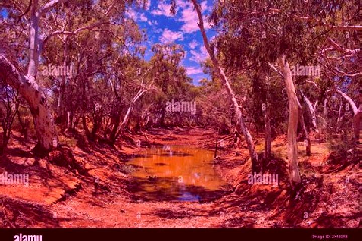 Escorts Meekatharra, Australia — Local Companions