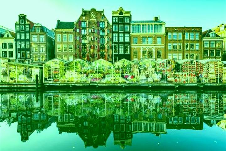 Escorts Meerhoven, Netherlands — Local Companions