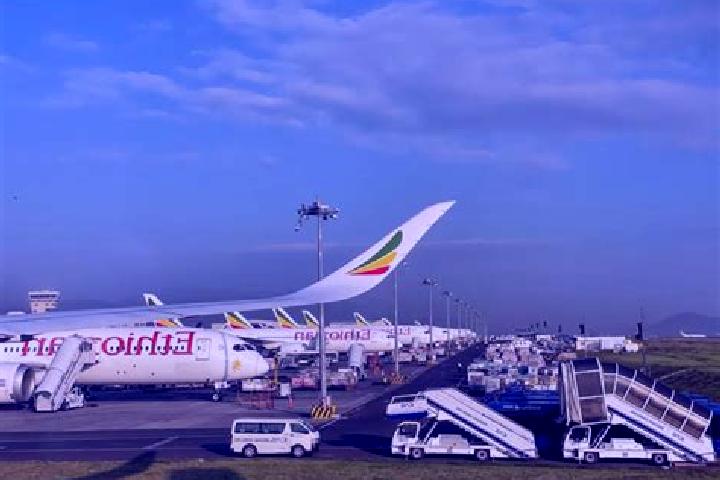 Escorts Mega, Ethiopia — Local Companions