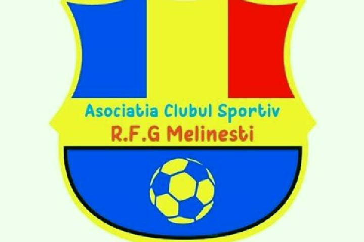 Escorts Melinesti, Romania — Local Companions