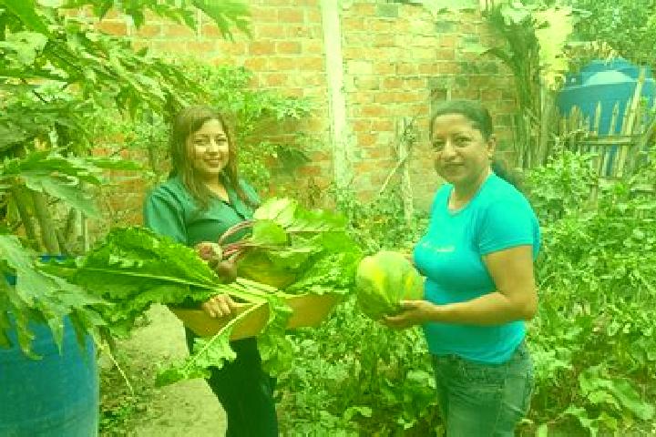 Escorts Membrillal, Ecuador — Local Companions