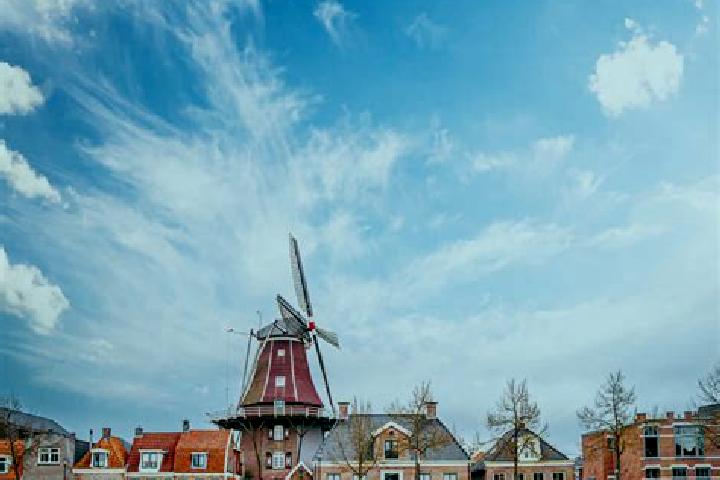 Escorts Meppel, Netherlands — Local Companions
