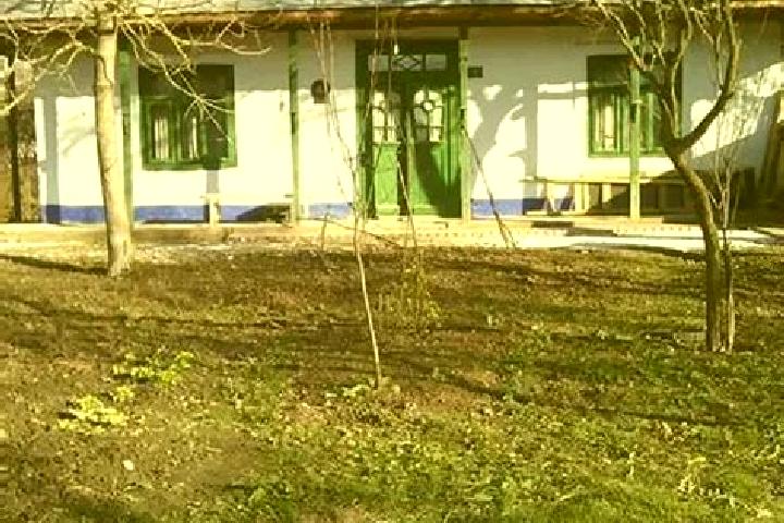 Escorts Merenii de Sus, Romania — Local Companions