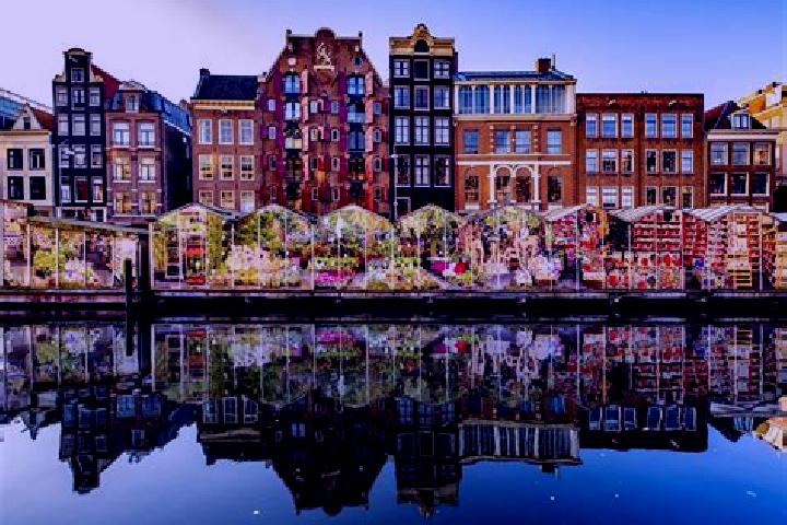 Escorts Meteren, Netherlands — Local Companions