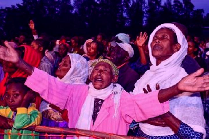Escorts Metu, Ethiopia — Local Companions
