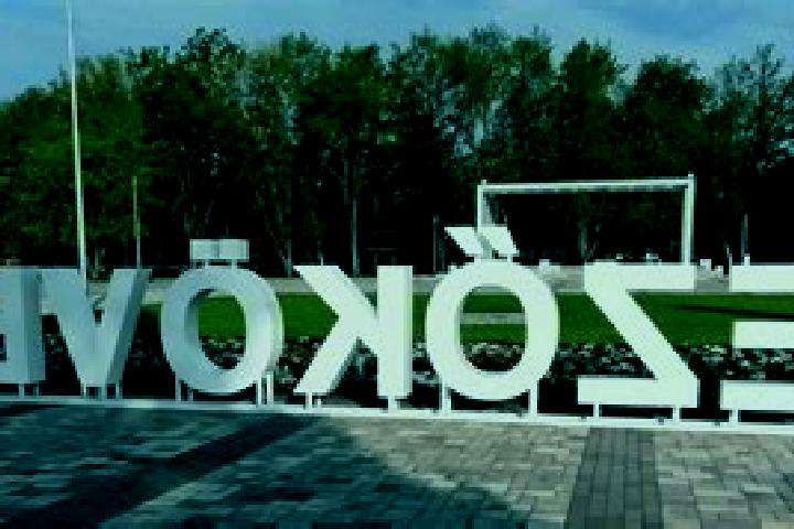 Escorts Mezokovesd, Hungary — Local Companions