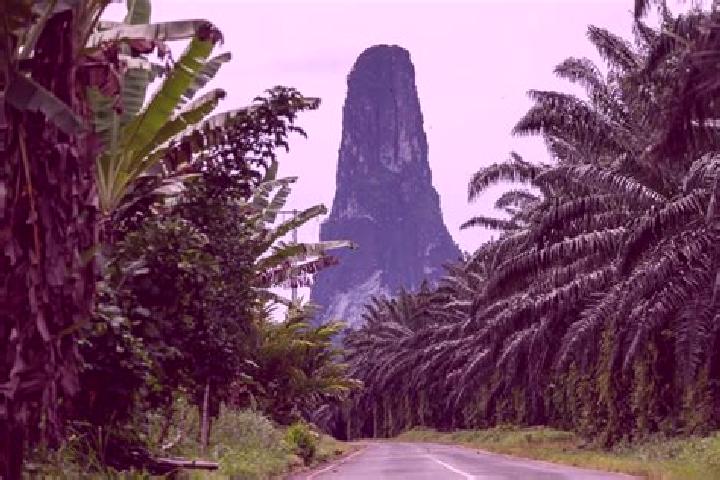 Escorts Micolo, Sao Tome and Principe — Local Companions