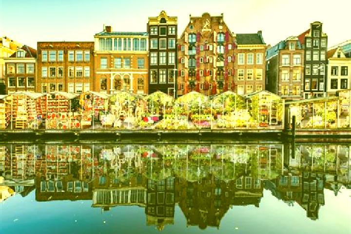 Escorts Middelie, Netherlands — Local Companions