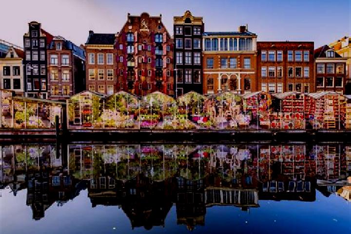 Escorts Middelsluis, Netherlands — Local Companions