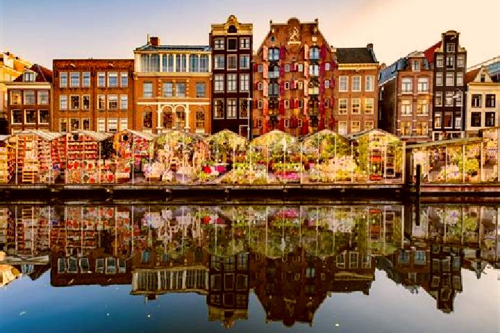 Escorts Midlum, Netherlands — Local Companions