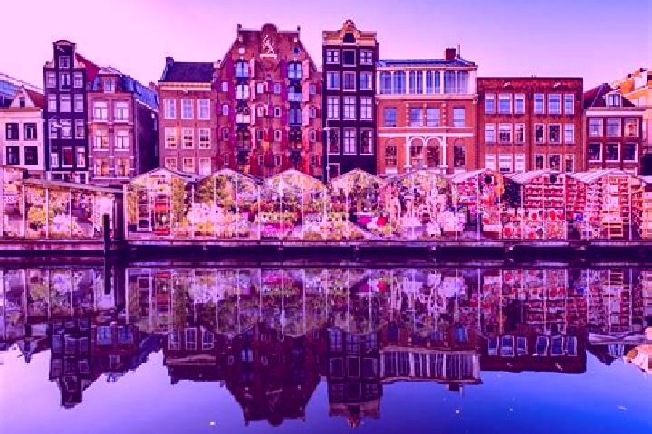 Escorts Midwolda, Netherlands — Local Companions
