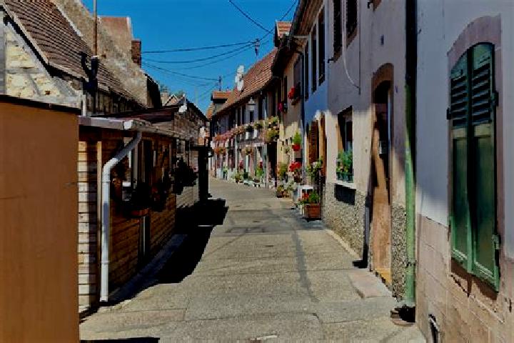 Escorts Mietesheim, France — Local Companions