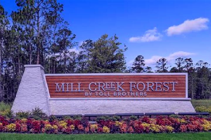 Escorts Mill Creek East, United States — Local Companions