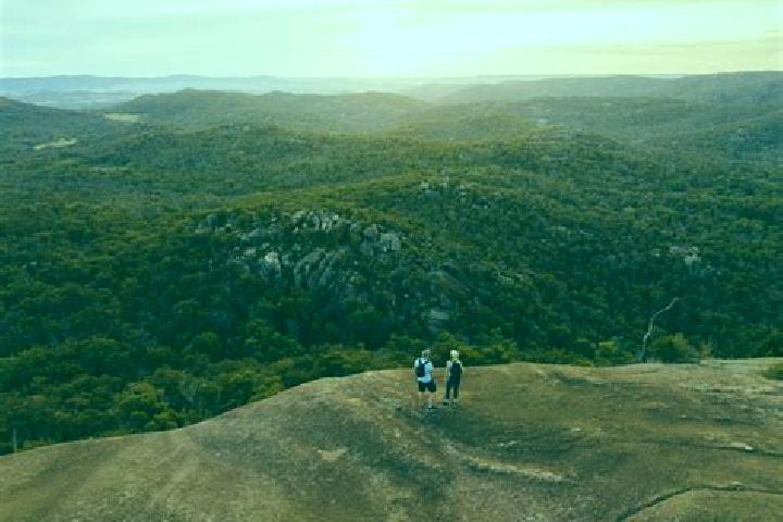Escorts Millmerran, Australia — Local Companions