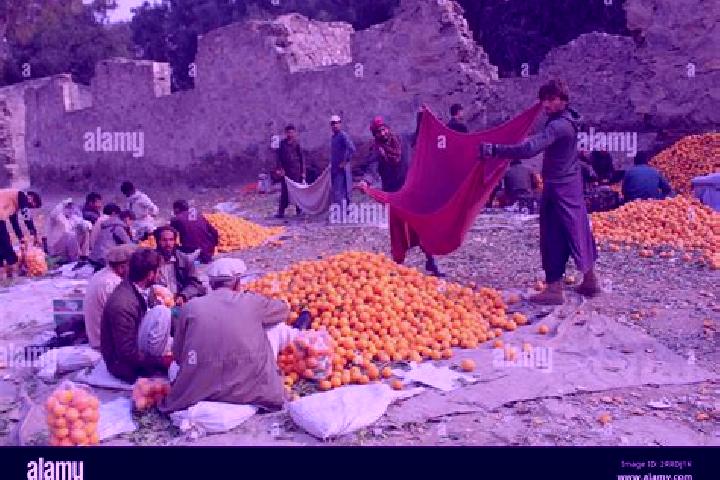 Escorts Mir Bachah Kot, Afghanistan — Local Companions