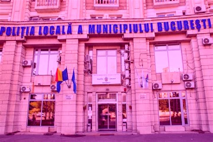 Escorts Miroslavesti, Romania — Local Companions
