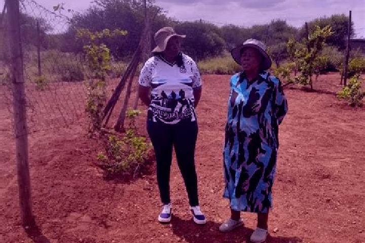 Escorts Mmathubudukwane, Botswana — Local Companions