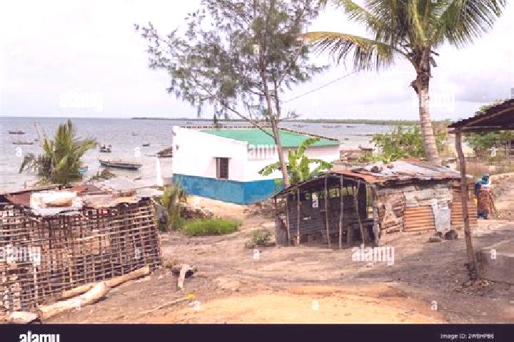 Escorts Mocimboa da Praia, Mozambique — Local Companions