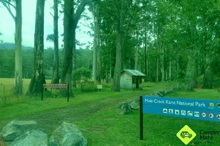 Escorts Mole Creek, Australia — Local Companions