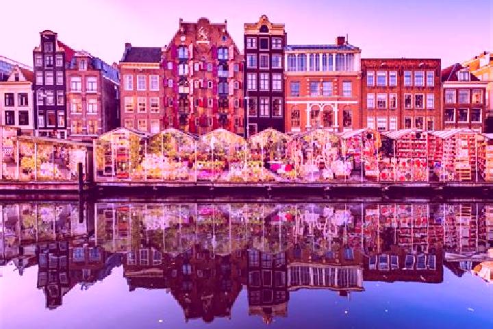 Escorts Molenschot, Netherlands — Local Companions