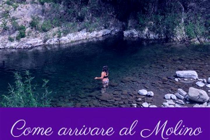 Escorts Molino del Pallone, Italy — Local Companions