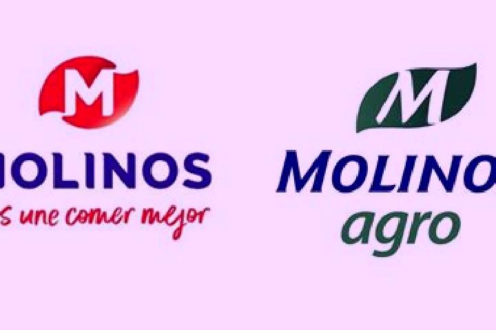 Escorts Molinos, Argentina — Local Companions